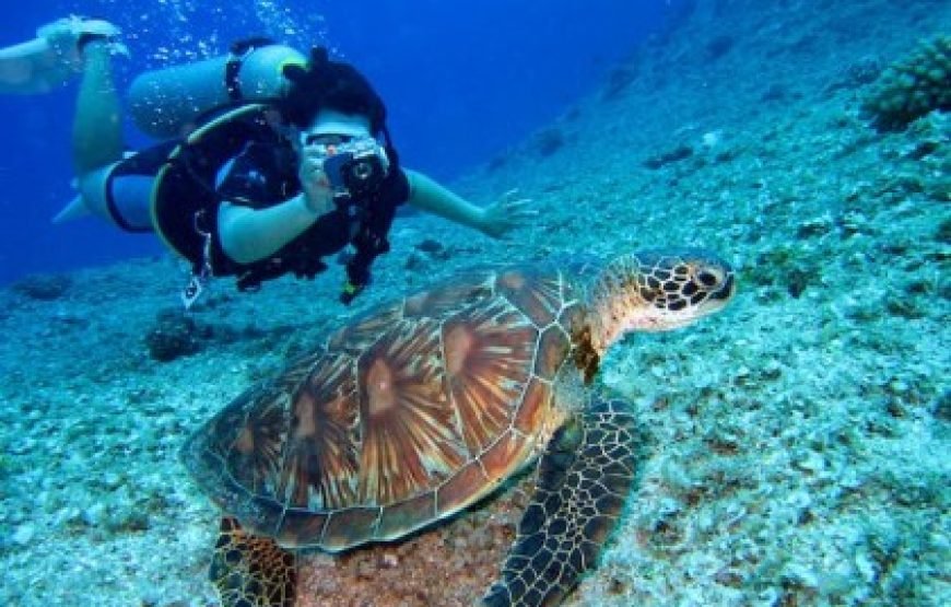 Maldives Submarine Dive Discovery Voyage Package (2 Persons)