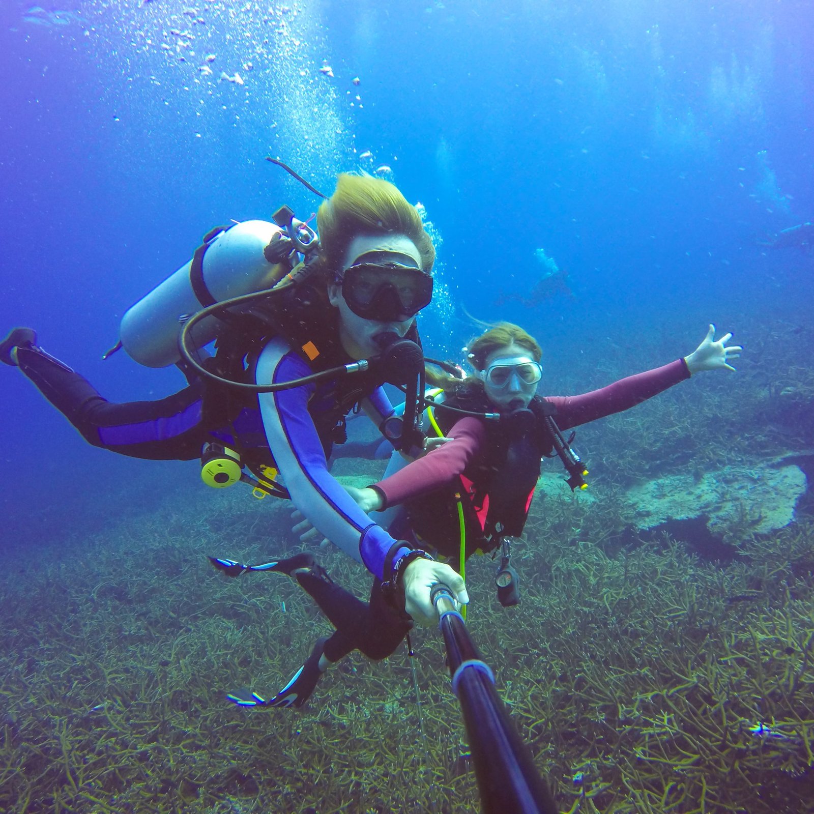 Unveiling the Underwater Wonders: Scuba Diving in the Maldives